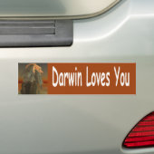 Darwin Autoaufkleber (Auf Auto)