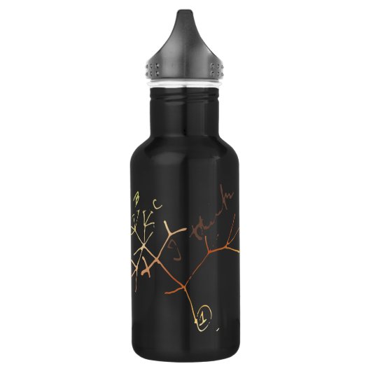Darwin, Baum des Lebens, denke ich Trinkflasche (Links)