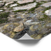 Darwin Canyon Lower Lake - Sierra Poster (Ecke)
