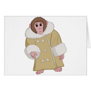 Darwin, den Ikea Monkey