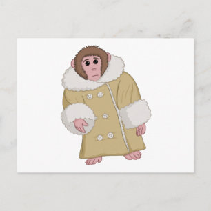Darwin der Ikea-Affe Postkarte