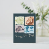 Darwin, Die Reise des Beagle Postkarte (Stehend Vorderseite)