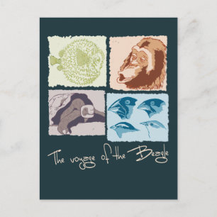 Darwin, Die Reise des Beagle Postkarte