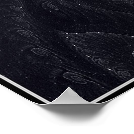 DARWIN-EVOLUTION POSTER (Ecke)