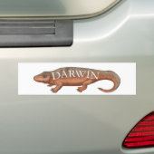 Darwin-Evolution Tetrapod Autoaufkleber (Auf Auto)