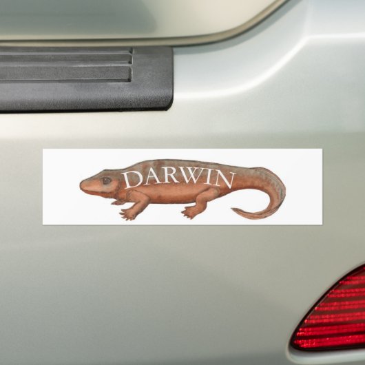 Darwin-Evolution Tetrapod Autoaufkleber (Auf Auto)