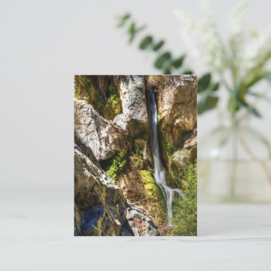 Darwin Falls Postkarte (Stehend Vorderseite)