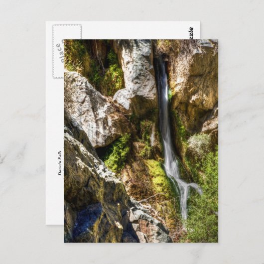 Darwin Falls Postkarte (Vorne/Hinten)