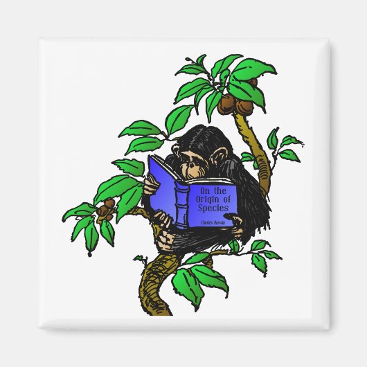 Darwin Fan Magnet (Vorne)
