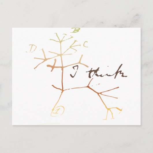 Darwin, ich glaube, der Baum des Lebens Postkarte (Vorderseite)