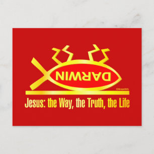 Darwin ist tot postkarte