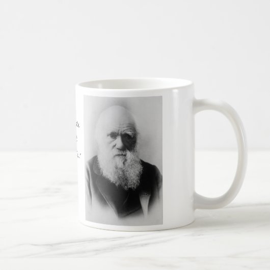 Darwin Kaffeetasse (Rechts)