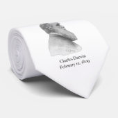 Darwin Krawatte (Gerollt)