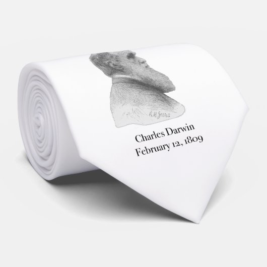 Darwin Krawatte (Gerollt)