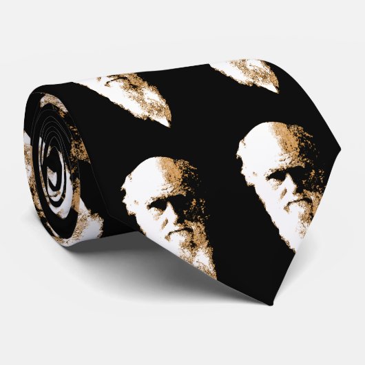 Darwin-Krawatte Krawatte (Gerollt)