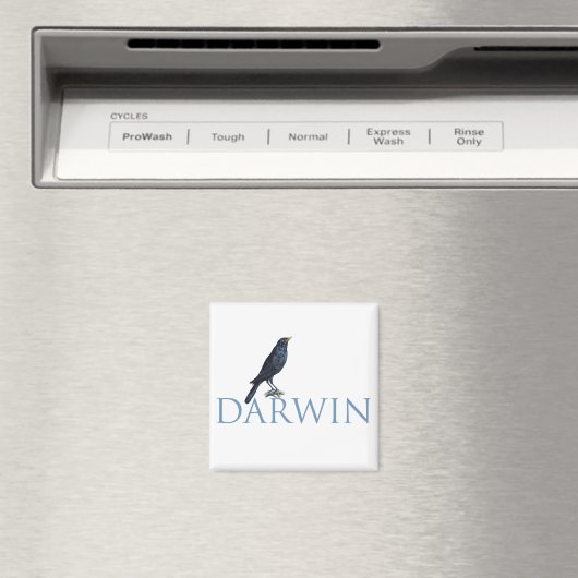 Darwin Magnet (In Situ (Geschirrspüler))