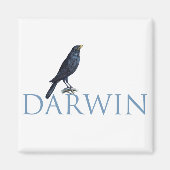 Darwin Magnet (Vorne)