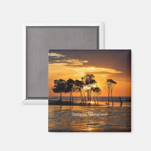 Darwin Mangrove, Australien, Magnet (Vorderseite/Rückseite)