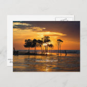 Darwin Mangrove, Australien Postkarte (Vorne/Hinten)