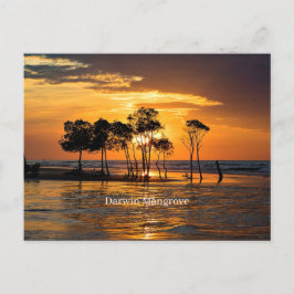 Darwin Mangrove Postkarte