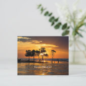 Darwin Mangrove Postkarte (Stehend Vorderseite)