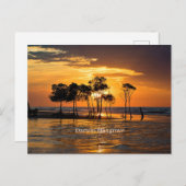 Darwin Mangrove Postkarte (Vorne/Hinten)