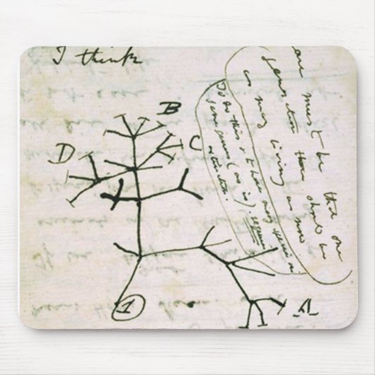 darwin mousepad (Vorne)