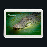 Darwin Northern Territory - Crocodile Magnet<br><div class="desc">Ein hungriges Salzwasser-Krokodil,  das an einer von Darwins berühmtesten Touristenattraktionen im nördlichen Territorium,  Australien,  gefüttert wird. Dieses Foto ist mit freundlicher Genehmigung von Neil Jones Fotografie,  besuchen Sie bitte seinen Laden auf Zazzle,  um seine phantastischen Fotos zu sehen.</div>