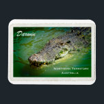 Darwin Northern Territory - Crocodile Magnet<br><div class="desc">Ein hungriges Salzwasser-Krokodil,  das an einer von Darwins berühmtesten Touristenattraktionen im nördlichen Territorium,  Australien,  gefüttert wird. Dieses Foto ist mit freundlicher Genehmigung von Neil Jones Fotografie,  besuchen Sie bitte seinen Laden auf Zazzle,  um seine phantastischen Fotos zu sehen.</div>