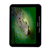 Darwin Northern Territory - Crocodile Magnet (Vertikal)