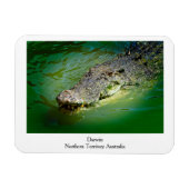 Darwin Northern Territory - Crocodile Magnet (Horizontal)