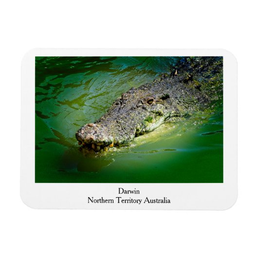 Darwin Northern Territory - Crocodile Magnet (Horizontal)