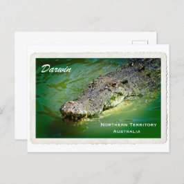 Darwin Northern Territory - Crocodile Postcard Feiertagspostkarte