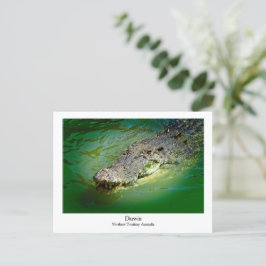 Darwin Northern Territory - Crocodile Postcard Feiertagspostkarte