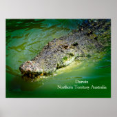 Darwin Northern Territory - Crocodile Poster (Vorne)