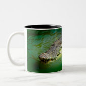 Darwin Northern Territory - Crocodile Tasse (Links)