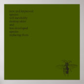 Darwin Origin of Species Poster (Vorne)