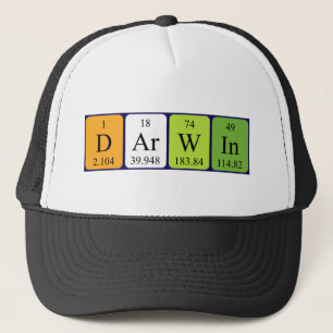 Darwin Periwin Truckerkappe