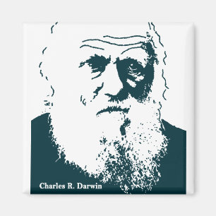 Darwin Picture Magnet