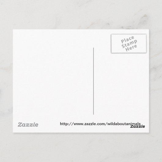 Darwin Postkarte (Rückseite)