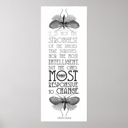 Darwin Quote Evolution Poster (Vorne)