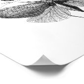 Darwin Quote Evolution Poster (Ecke)