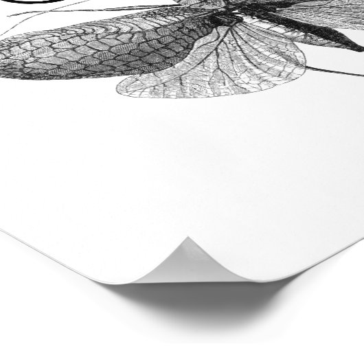 Darwin Quote Evolution Poster (Ecke)