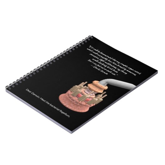 Darwin’s Konzession and the Bacterial Flagellum Notizblock (Linke Seite)