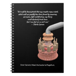 Darwin’s Konzession and the Bacterial Flagellum Notizblock