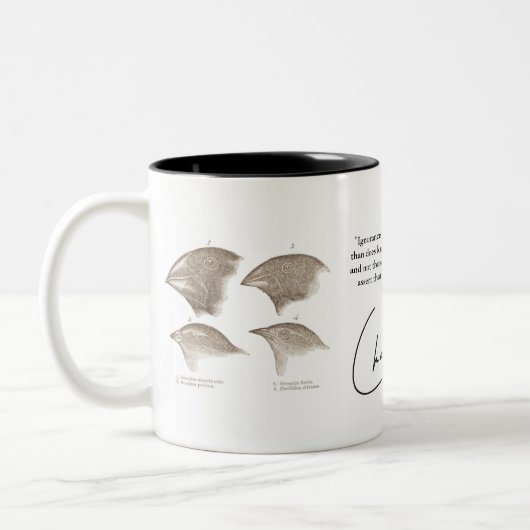Darwin-Tasse Zweifarbige Tasse (Links)