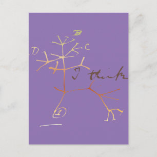 Darwin tree of life postkarte