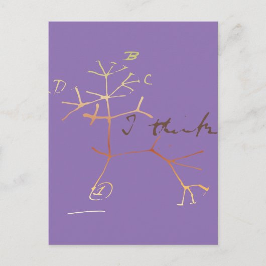 Darwin tree of life postkarte (Vorderseite)