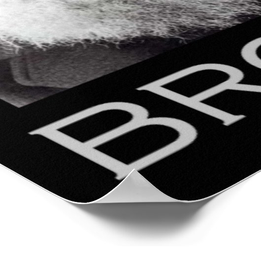 Darwin und Chimp Brothers Poster (Ecke)