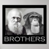 Darwin und Chimp Brothers Poster (Vorne)
